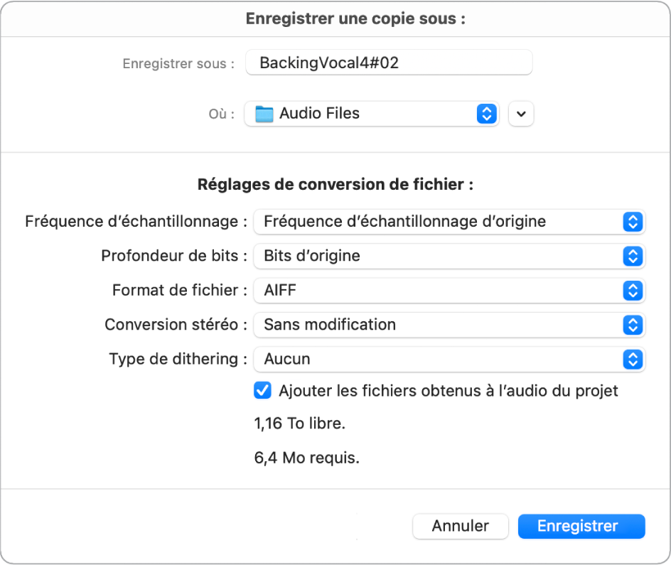 Figure. Zone de dialogue Enregistrer une copie sous.