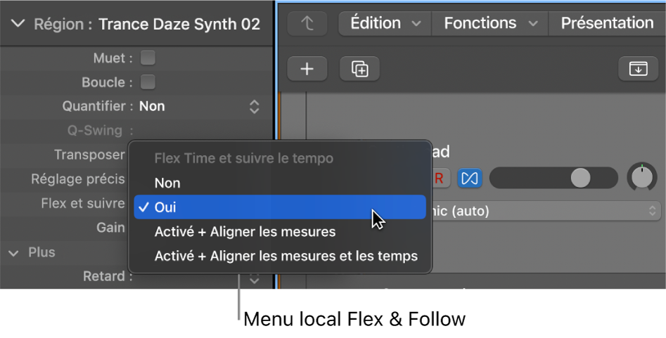 Figure. Menu Flex et suivre dans l’inspecteur de région.