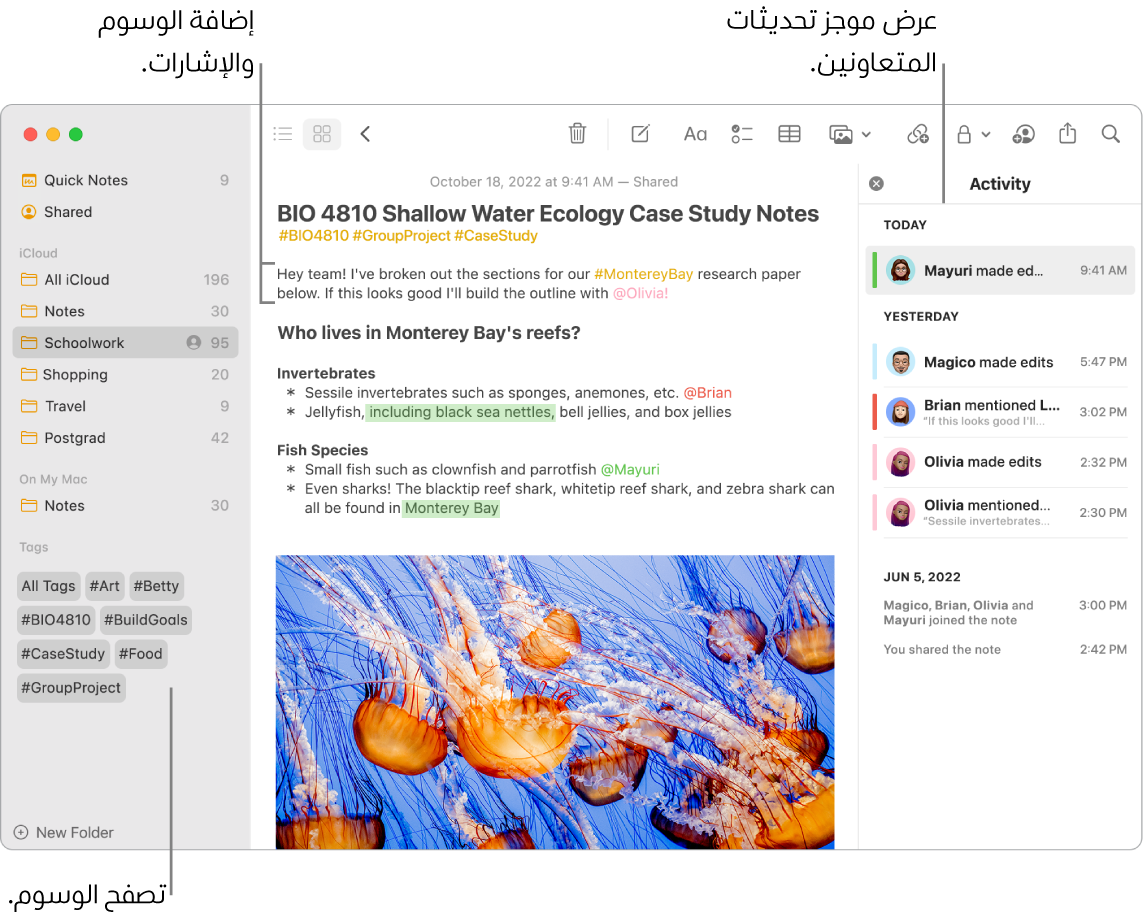 نافذة في تطبيق الملاحظات في عرض المعرض تظهر بها وسيلة شرح للوسوم في الشريط الجانبي. في الملاحظة الرئيسية، توجد وسيلة شرح لوسم وإشارة. على اليسار، توجد قائمة أنشطة بها وسيلة شرح لعرض ملخص التحديثات.