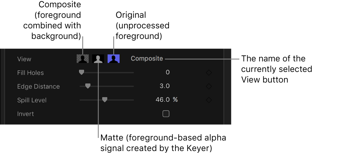 The View controls in the Video inspector