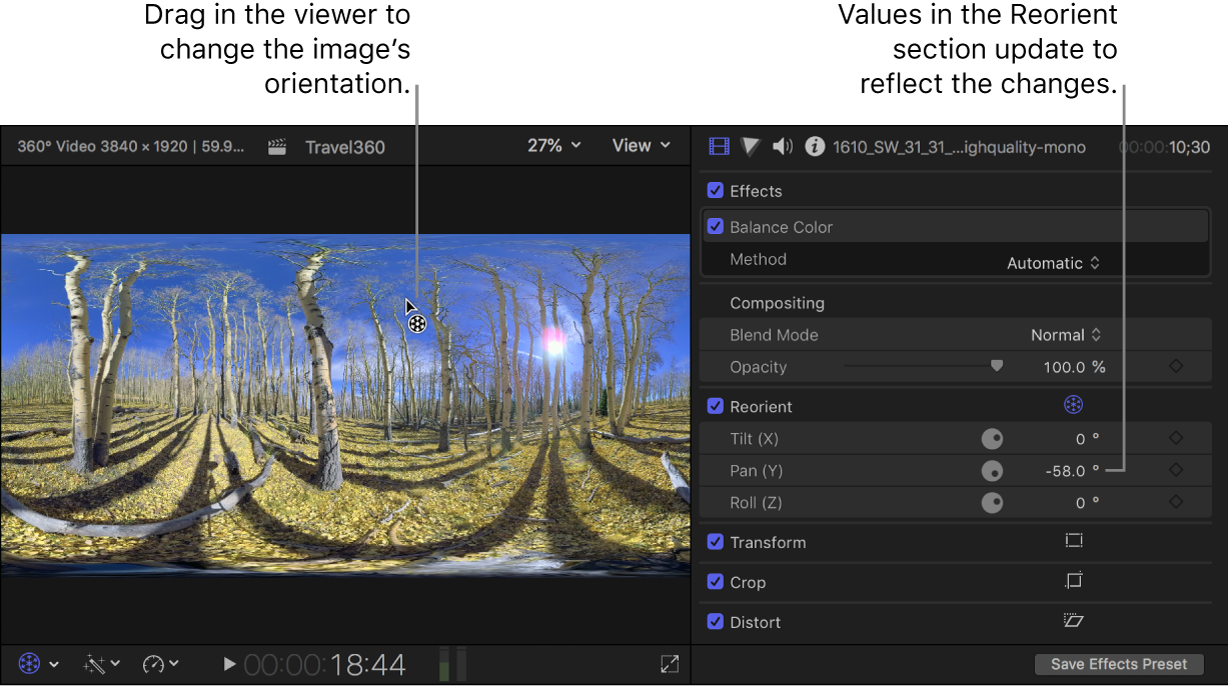 The Reorient controls in the viewer and the inspector