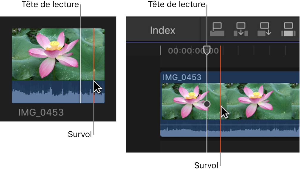 Outil de survol et tête de lecture dans le navigateur et la timeline