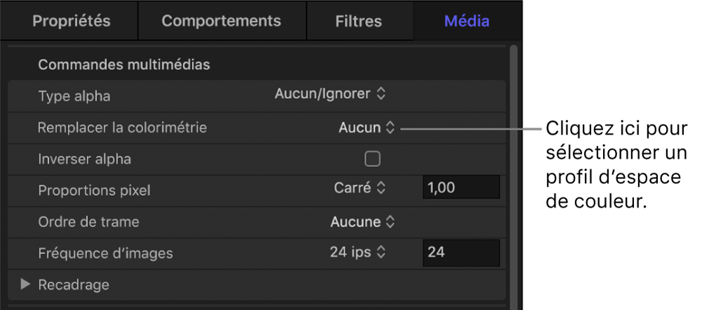 Inspecteur multimédia avec le paramètre Remplacer la colorimétrie