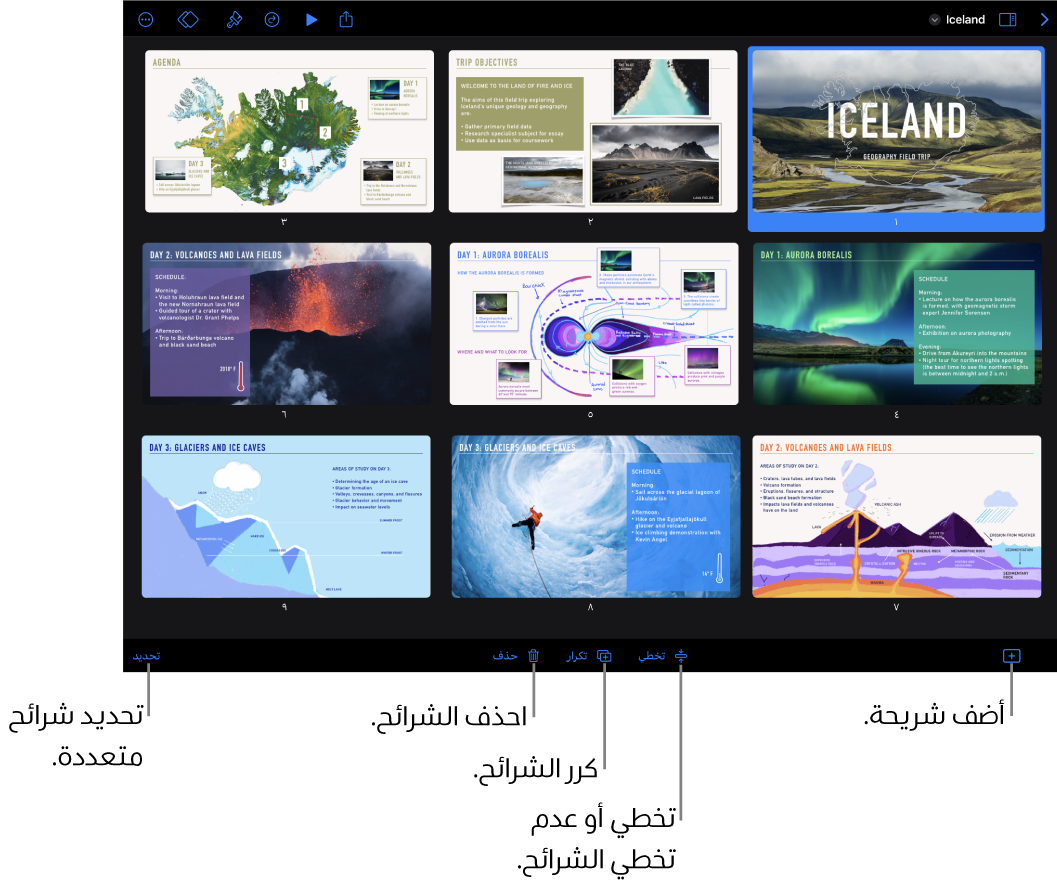 عرض الطاولة الضوئية يعرض أزرارًا في الجزء السفلي من الشاشة لإضافة الشرائح وتخطيها وتكرارها وحذفها ولتحديد عدة شرائح.