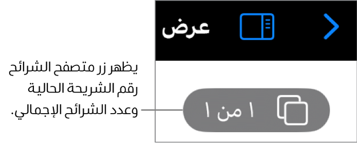 زر متصفح الشرائح يعرض رقم الشريحة الحالية والعدد الإجمالي للشرائح في العرض التقديمي.