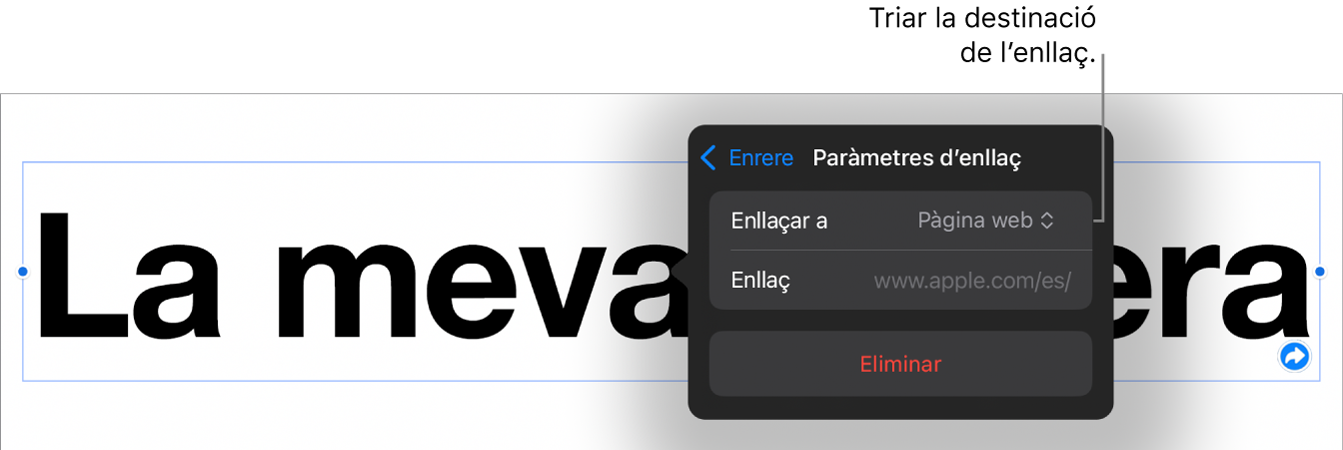 Controls “Paràmetres d’enllaç” amb l’opció “Pàgina web” seleccionada i el botó “Eliminar” situat a la part inferior.