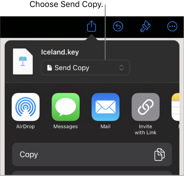 The Share menu with Send Copy selected at the top.