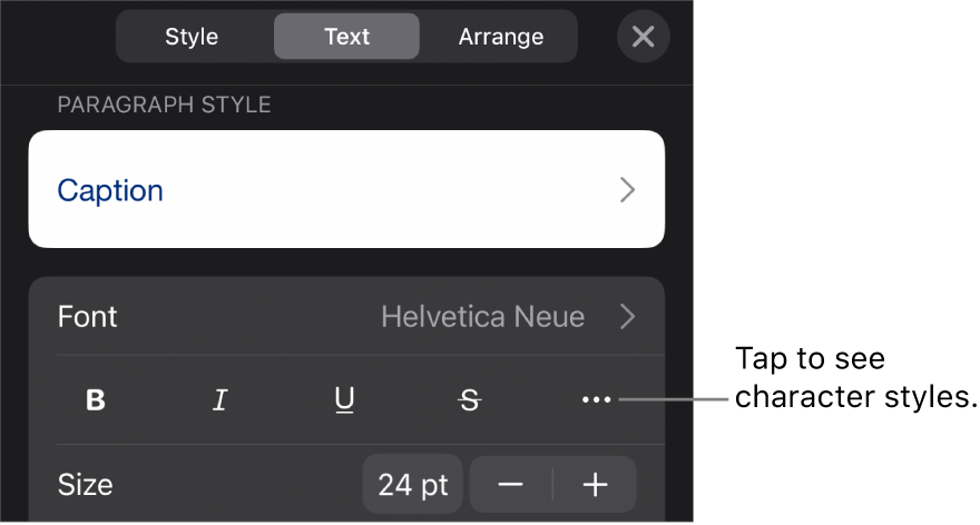 The Format controls with paragraph styles at the top, then Font controls. Below Font are the Bold, Italic, Underline, Strikethrough, and More Text Options buttons.