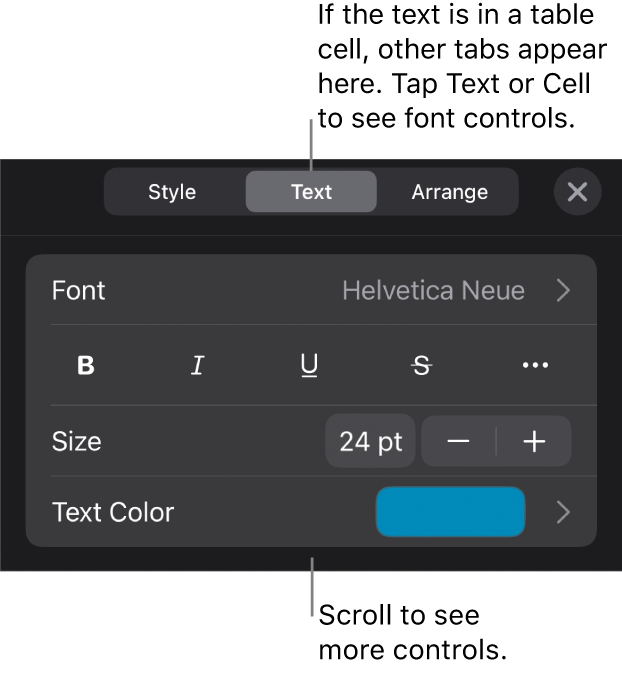 Text controls in the Format menu for setting paragraph and character styles, font, size, and color.