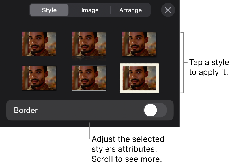 The Style tab of the Format menu with object styles at the top and a control below them to change the border.