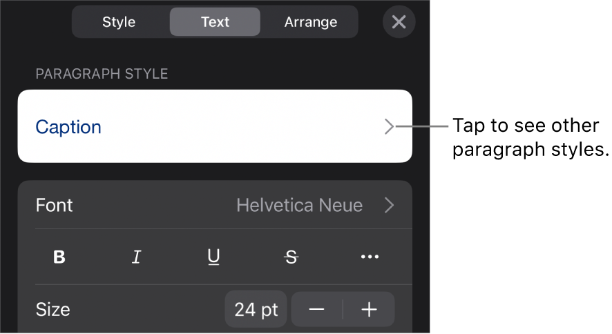 The Format menu showing text controls for setting paragraph and character styles, font, size, and color.