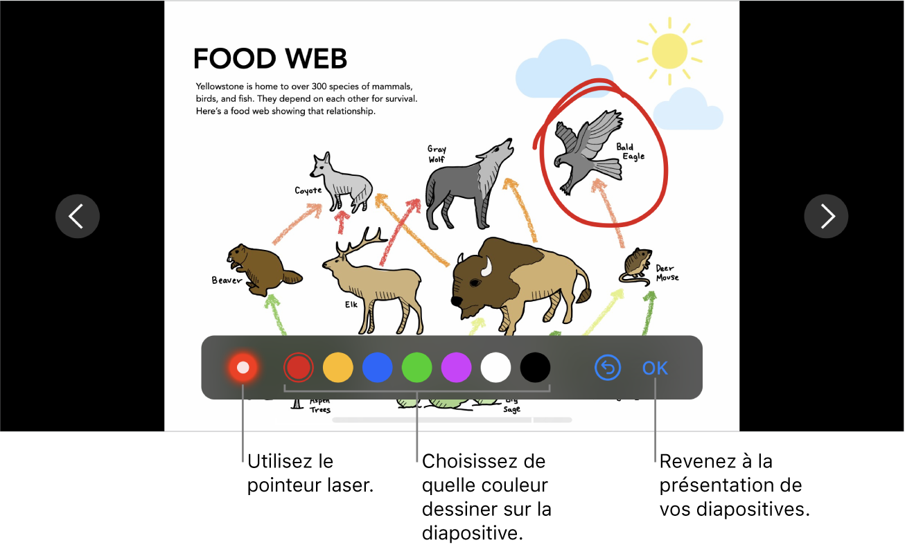 Une diapositive en mode d’illustration de diapositive affichant le pointeur laser et les commandes de sélection de couleur.