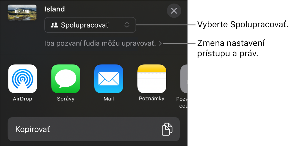 Menu Zdieľať s vybranou možnosťou Spolupracovať navrchu a pod ňou sa nachádzajú nastavenia prístupu a povolení.