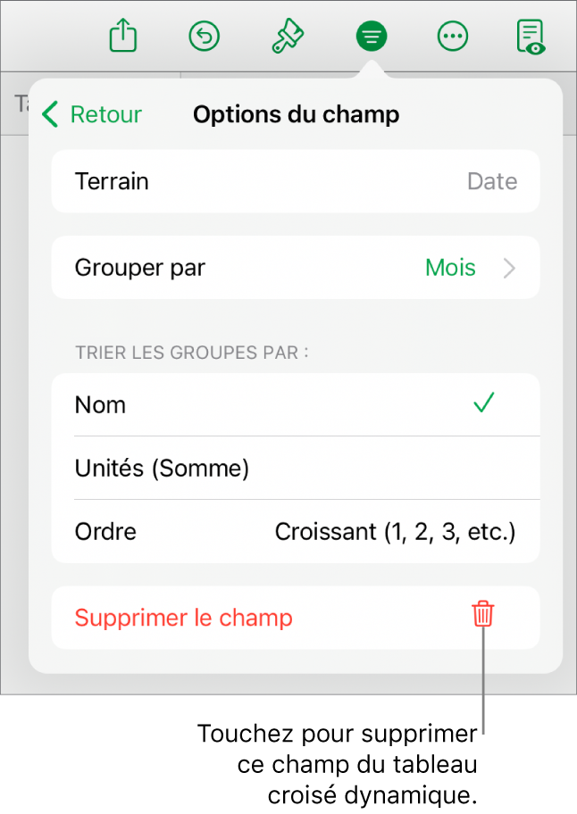 Le menu « Options du champ » affichant les commandes permettant de regrouper et de trier les données, ainsi que l’option de suppression d’un champ.