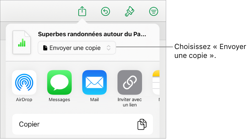 Le menu Partager avec l’option Envoyer une copie sélectionnée en haut.