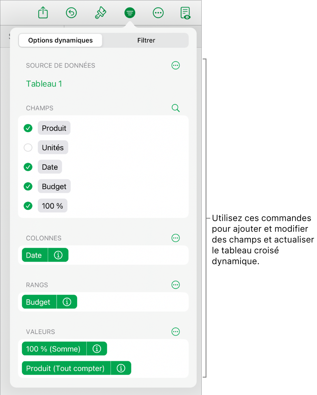 Le menu « Options dynamiques » affichant des champs dans les sections Colonnes, Rangs et Valeurs, ainsi que des commandes permettant de modifier les champs.