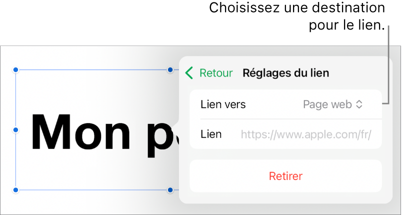 Les commandes « Réglages du lien » avec une page web sélectionnée et le bouton Supprimer en bas.