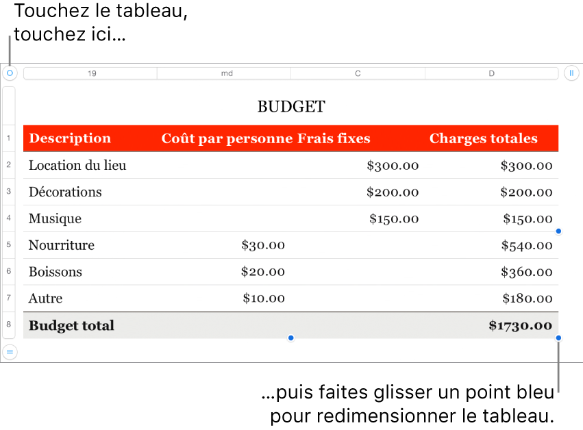 Un tableau sélectionné avec des points bleus pour le redimensionner.