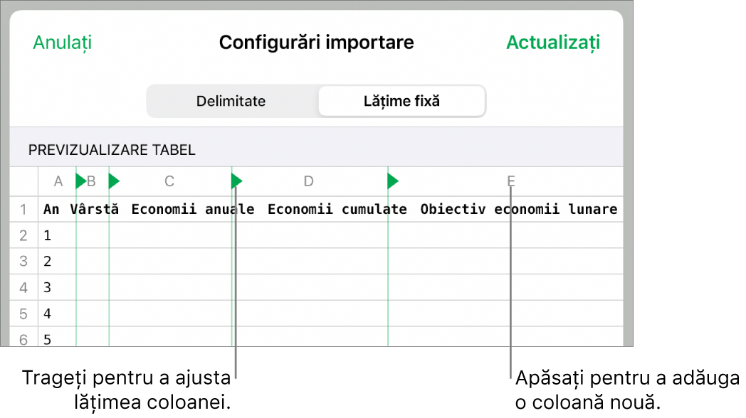 Configurările de importare pentru un fișier de text cu lățime fixă.