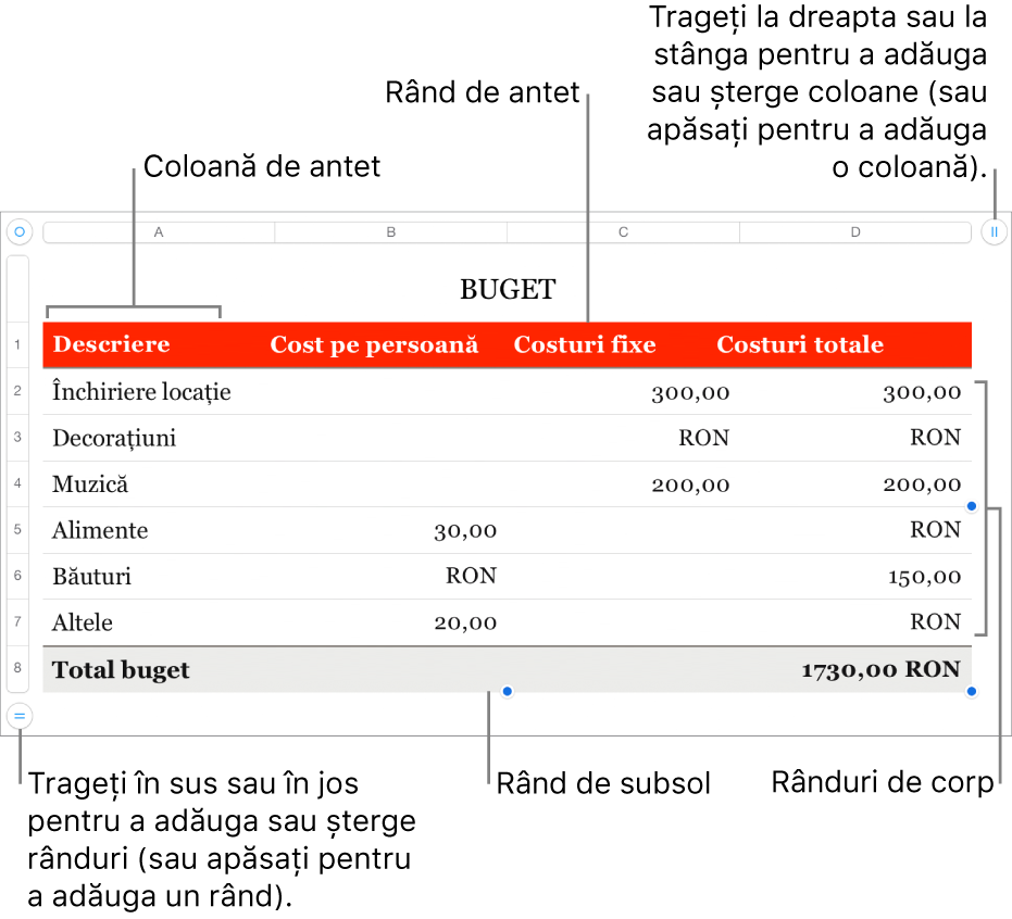 Un tabel, cu rânduri și coloane pentru antet, corp și subsol și mânere pentru adăugarea sau ștergerea rândurilor sau coloanelor.