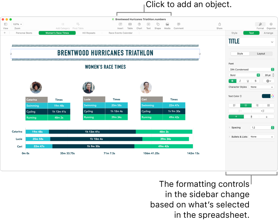 The Numbers window with the Text tab of the Format sidebar open.