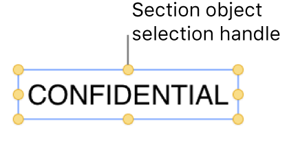 An object with selection handles.