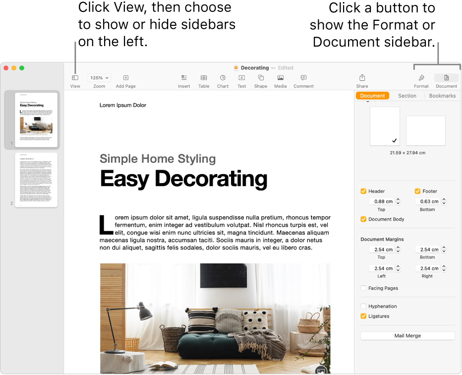 The Pages window with callouts to the View menu button and Format and Document buttons in the toolbar. Sidebars are open on the left and right.