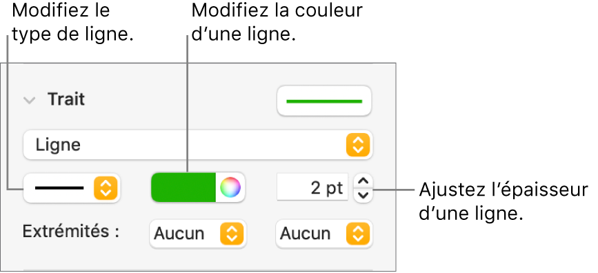 Les commandes de trait permettant de définir des extrémités, l’épaisseur du trait et sa couleur.