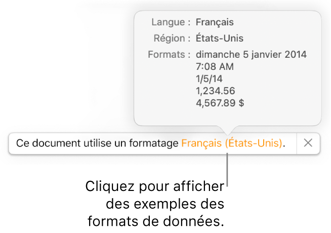 La notification du réglage de langue et de région différents, qui affiche des exemples de la mise en forme correspondant à cette langue et à cette région.