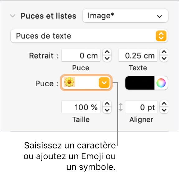 La section « Puces et listes » de la barre latérale Format. Le champ Puce affiche un Emoji en forme de fleur.