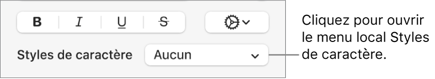 Le menu local Styles de caractère.