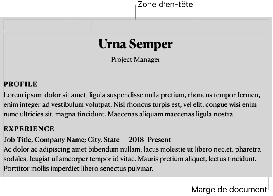 Mode d’affichage Disposition montrant la zone d’en-tête et les marges de document.