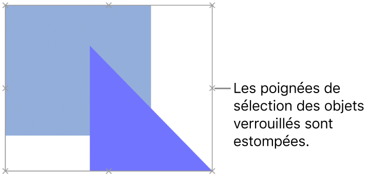 Des objets verrouillés présentant des poignées de sélection grisées.