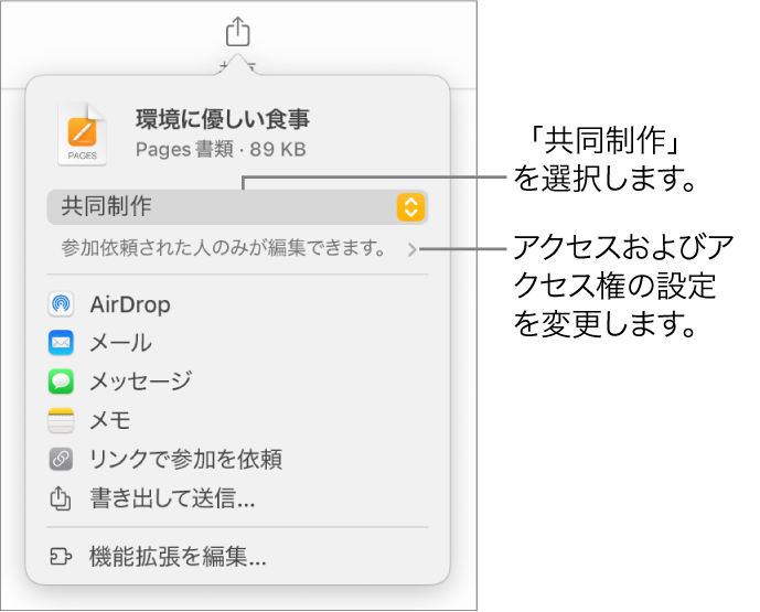 「共有」メニュー。上部の「共同作業」が選択されていて、下に参加対象とアクセス権の設定があります。