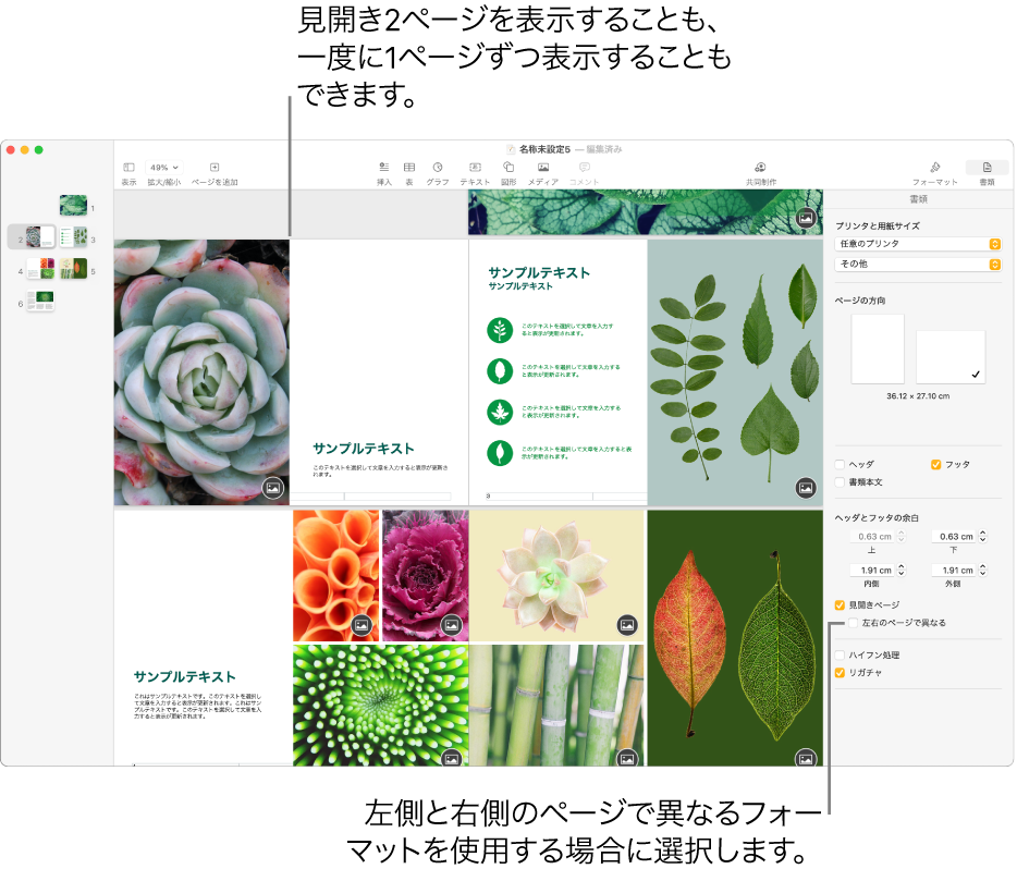 Pagesウインドウ。ページのサムネールと書類のページが見開き2ページとして表示されています。右側の「書類」サイドバーでは、「左右のページで異なる」チェックボックスの選択が解除されています。