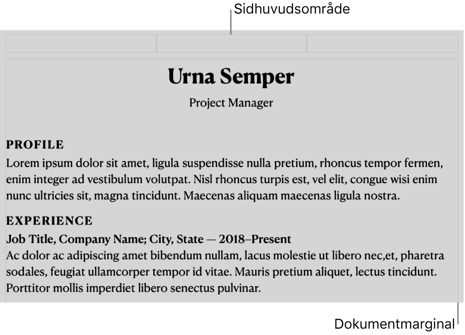 Layoutvyn med sidhuvud och dokumentmarginaler.