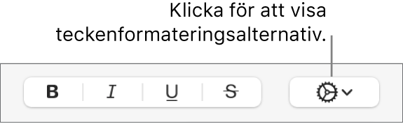 Popupmenyn Fler textalternativ till höger om knapparna för fetstil, kursivering, understrykning och genomstrykning.