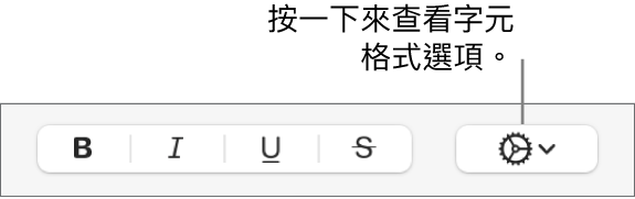 「更多文字選項」彈出式選單的右側為「粗體」、「斜體」、「底線」和「刪除線」按鈕。