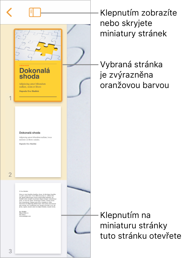 Zobrazení miniatur stránek na levé straně obrazovky s jednou vybranou stránkou. Nad miniaturami se nachází tlačítko Volby vzhledu.