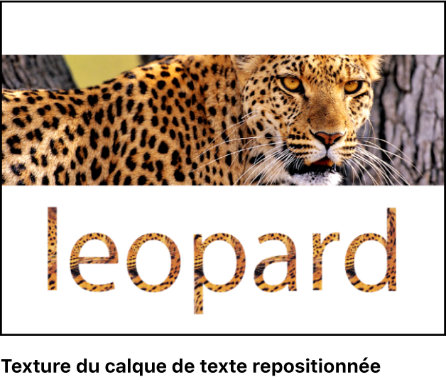 Canevas affichant du texte dans lequel la texture est repositionnée