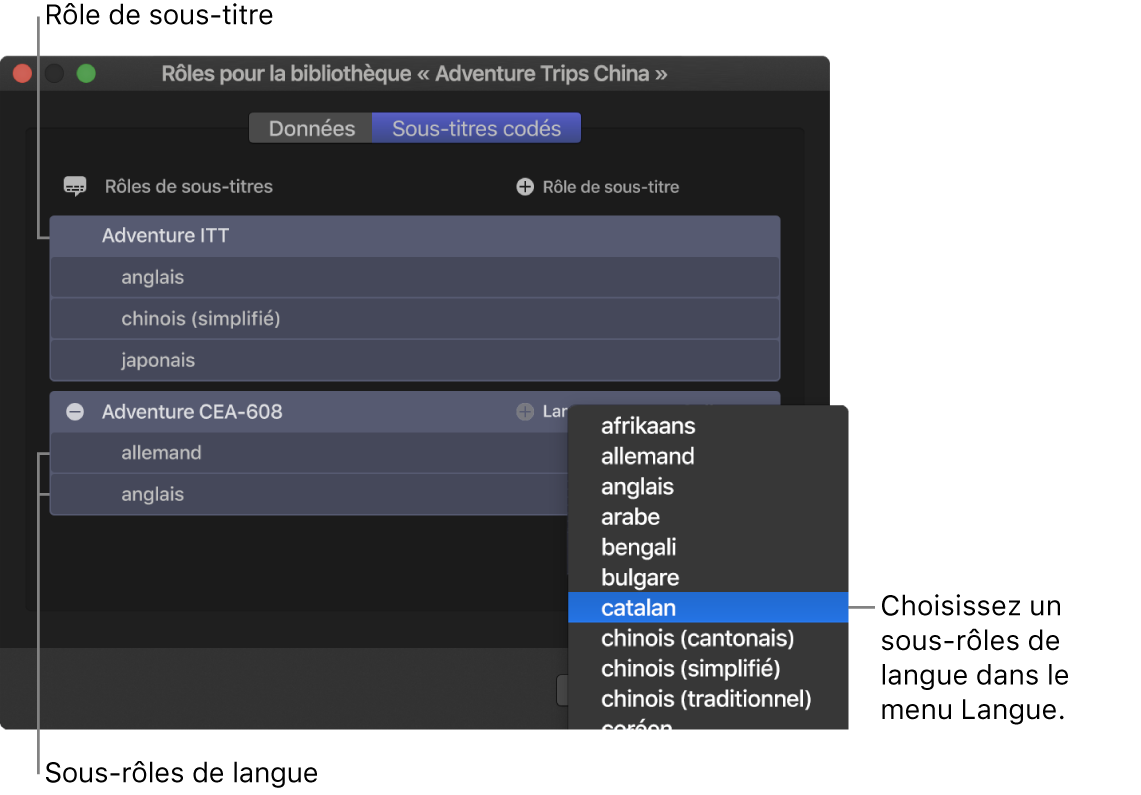 Fenêtre Sous-titres de l’éditeur de rôle montrant deux rôles de sous-titres avec les sous-rôles de langue en dessous ainsi qu’un menu pour choisir la langue