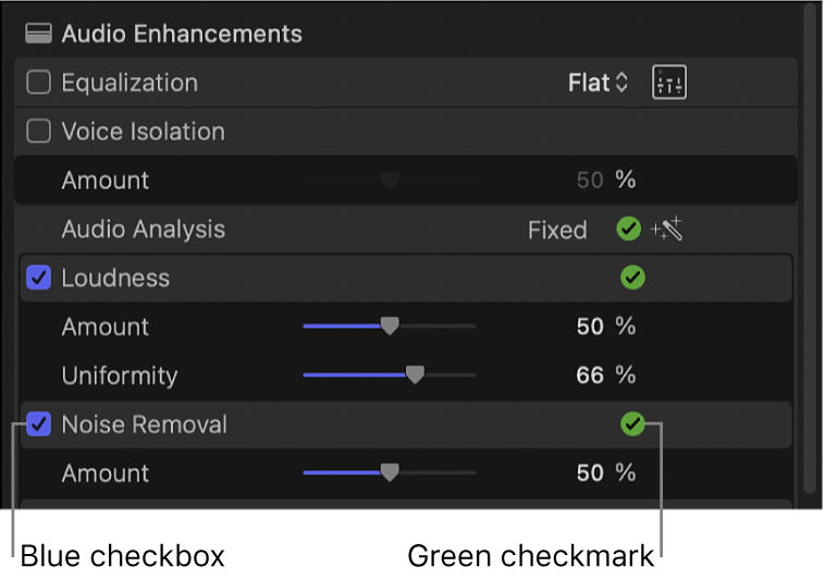 음량 보정 및 노이즈 제거 옆의 파란 체크 표시 및 오디오 분석, 음량 보정 및 노이즈 제거 오른쪽의 초록색 체크 표시를 보여주는 오디오 인스펙터의 오디오 강화 섹션
