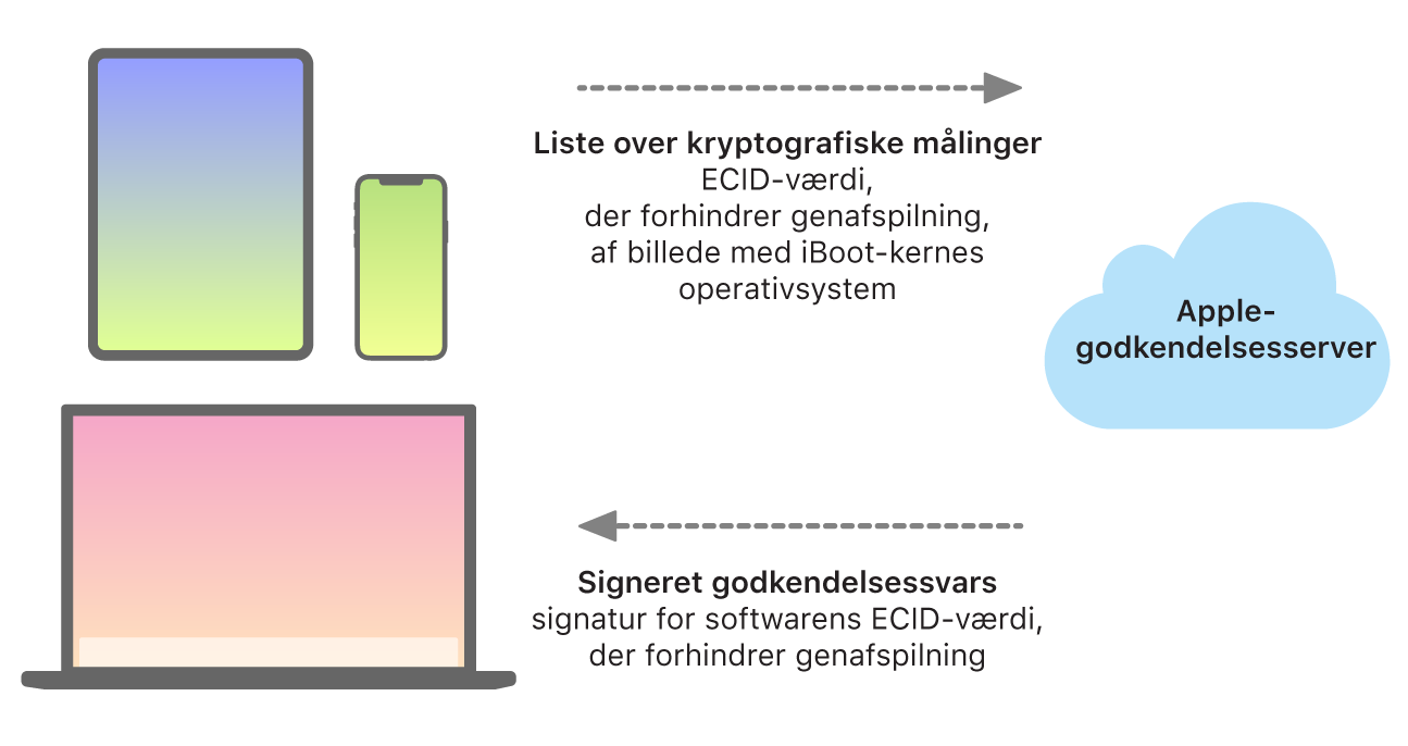 Et diagram, der viser, hvordan Apple-enheder sender oplysninger til Apples godkendelsesserver, som sender et svar tilbage.