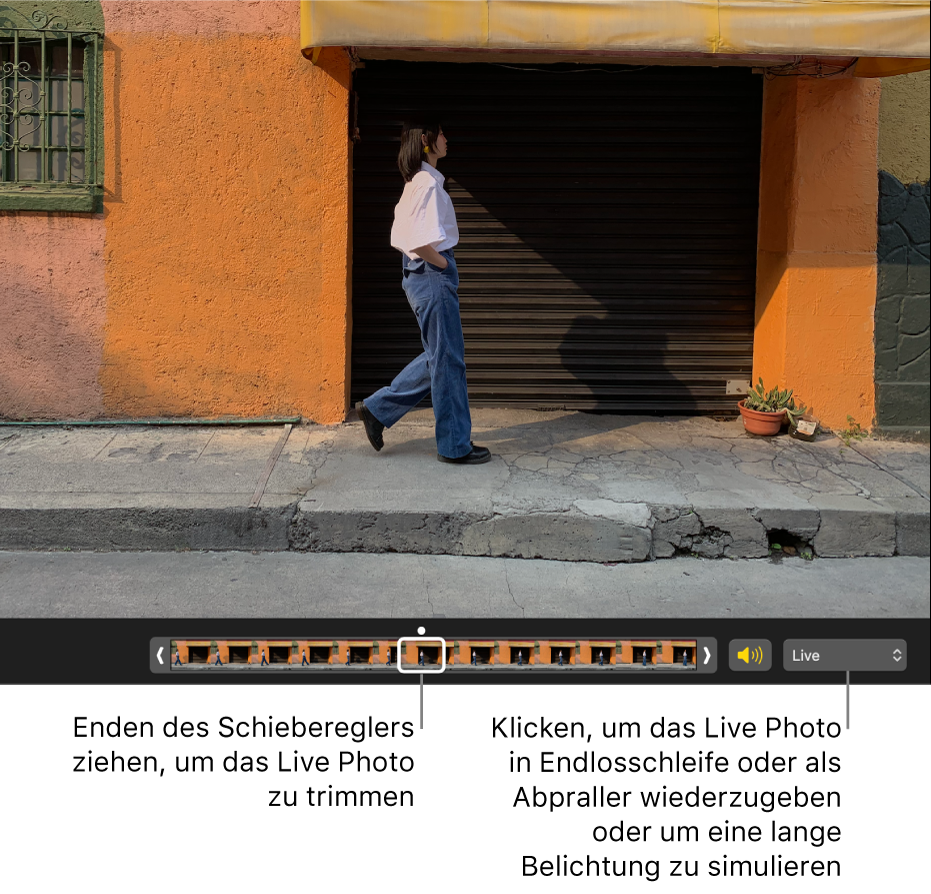 Ein Live Photo in der Bearbeitungsansicht mit einem Regler darunter, der die Bilder des Fotos zeigt. Rechts neben dem Schieberegler befinden sich die Lautsprechertaste und ein Einblendmenü, mit dem Effekte für Endlosschleifen, Abpraller oder Langzeitbelichtungen hinzugefügt werden können.