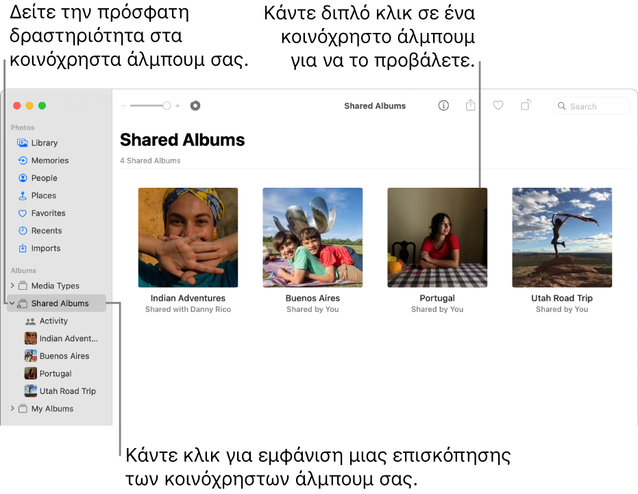 Το παράθυρο Φωτογραφιών, στο οποίο φαίνονται επιλεγμένα τα Κοινόχρηστα άλμπουμ στην πλαϊνή στήλη και εμφανίζονται κοινόχρηστα άλμπουμ στα δεξιά.