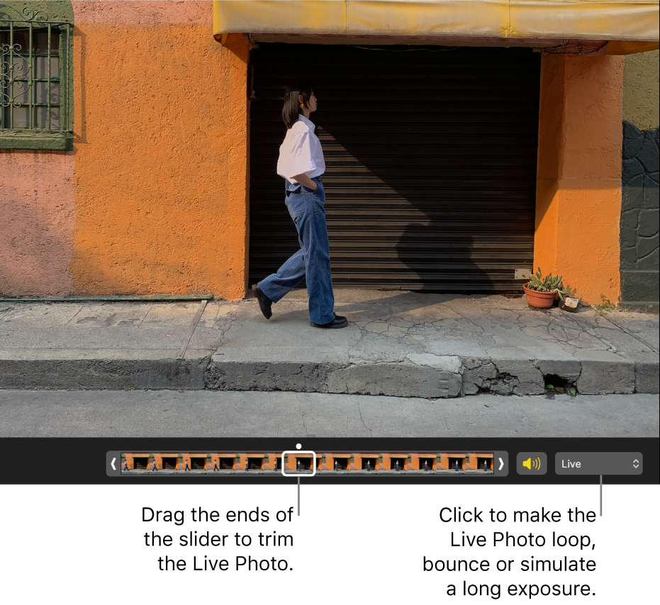 A Live Photo in editing view with a slider beneath it showing the frames of the photo. To the right of the slider are the Speaker button and a pop-up menu you can use to add a loop, bounce or long exposure effect.