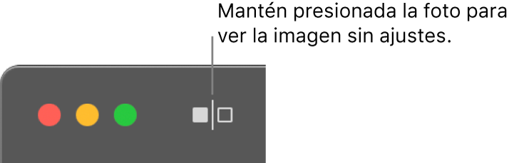 El botón Sin ajustes junto a los controles de la ventana en la esquina superior izquierda de la ventana.