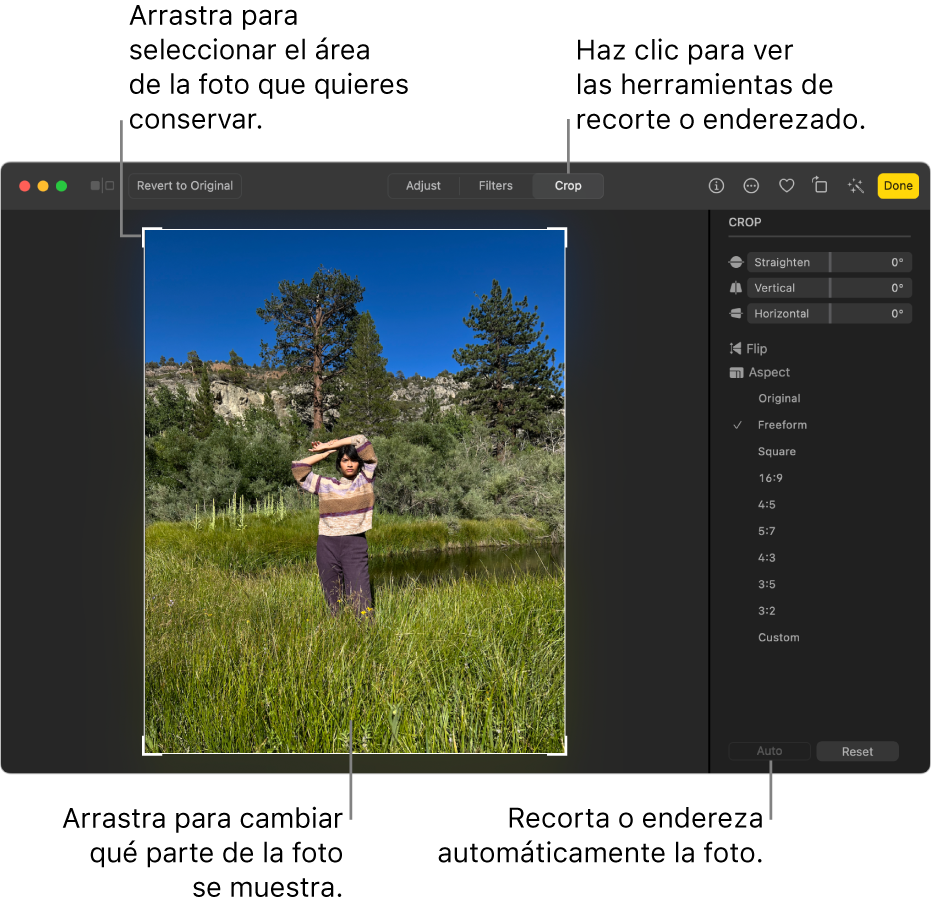Una foto en la vista de edición con la herramienta Recortar en la barra de herramientas, un rectángulo de selección alrededor de la foto, reguladores de enderezamiento, opciones de proporciones y los botones Automático y Restablecer a la derecha.