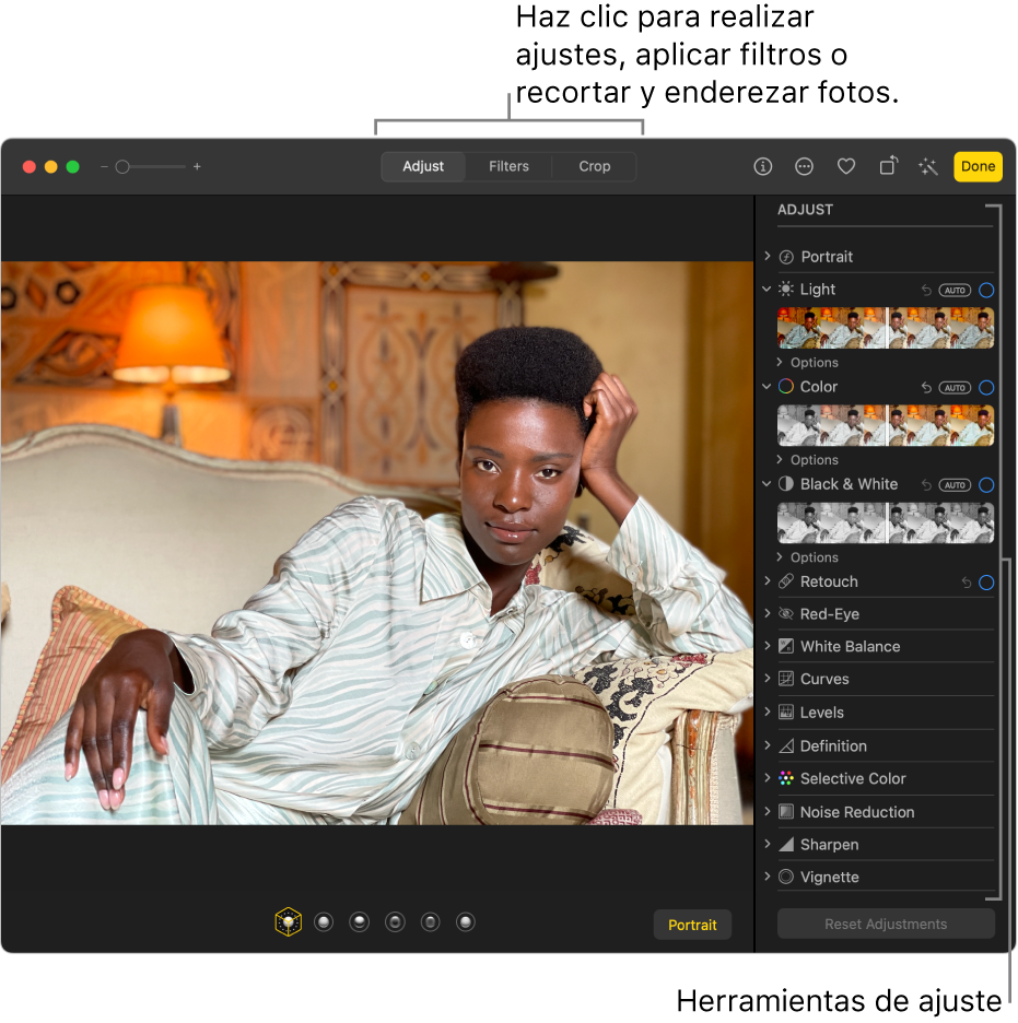 Una foto en la vista de edición con la opción Ajustar seleccionada en la barra de herramientas a la derecha.