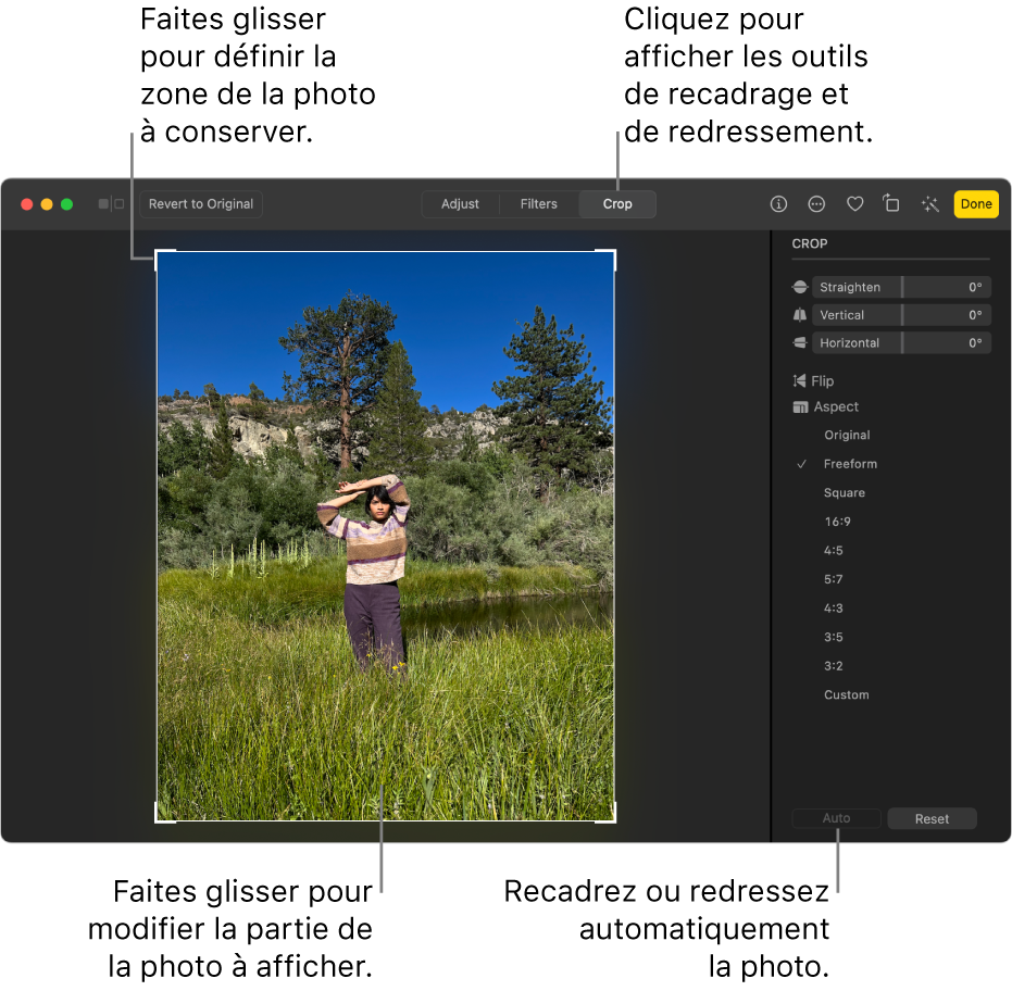 Une photo en mode édition, avec l’outil Recadrer sélectionné dans la barre d’outils, un rectangle de sélection autour de la photo, ainsi que des curseurs de redressement, des options de proportions, et des boutons Auto et Réinitialiser à droite.